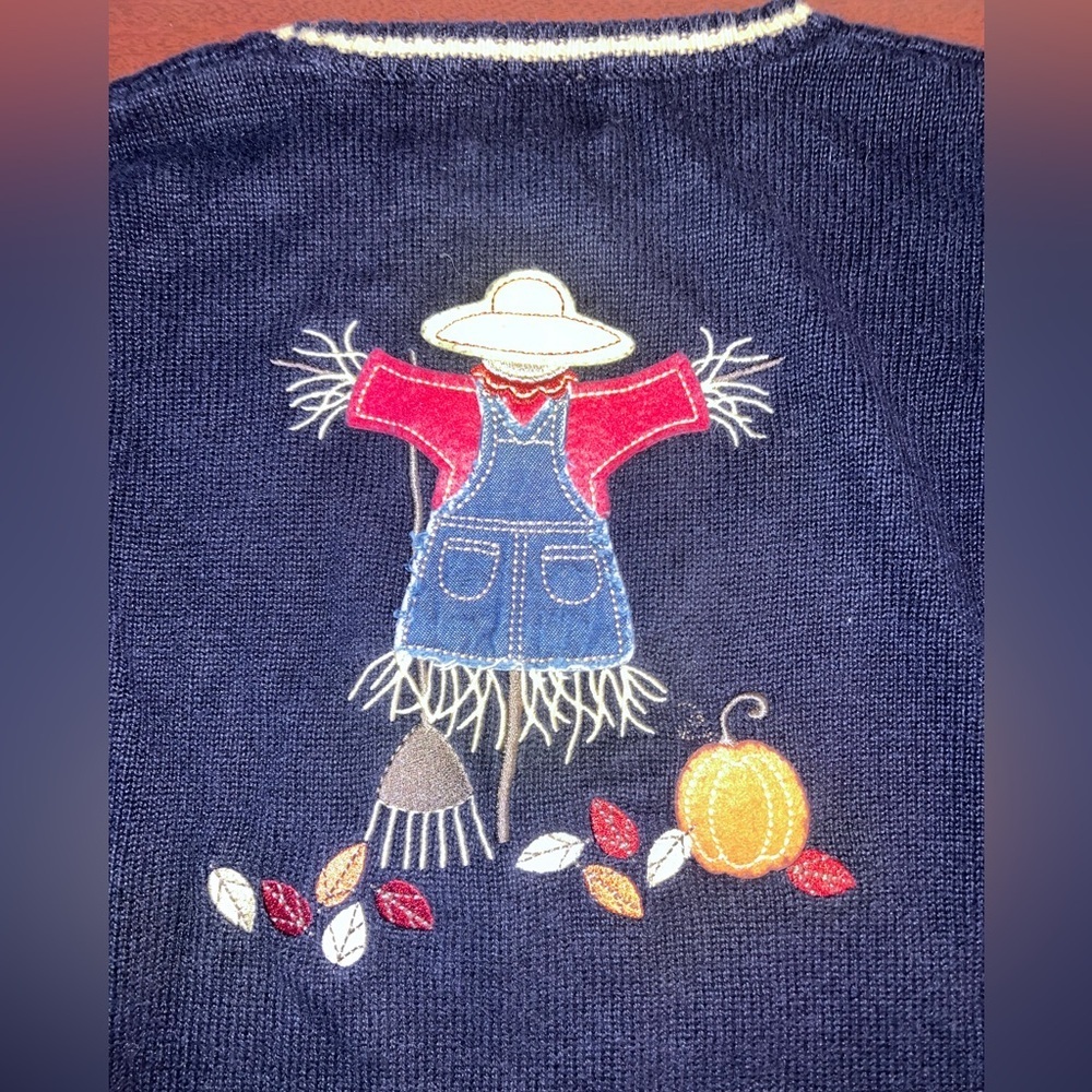 Christopher & Banks Hand Embroidered Blue Knit Scarecrow Sweater Women's Sz S - Picture 5 of 7